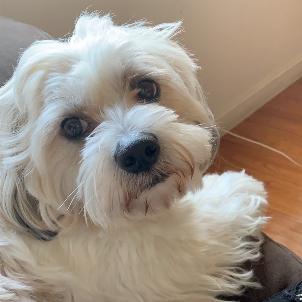 Meet your Posher, Melanni